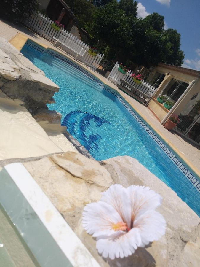 Gite T2 Avec Grande Piscine Daire Villeneuve-la-Comptal Dış mekan fotoğraf